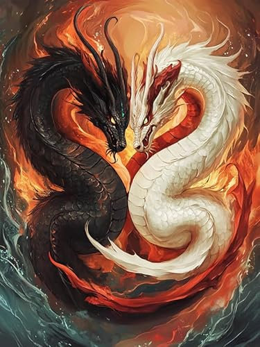 Bimkole 5D Diamond Painting Kit Bricolaje Arte Dragón Blanco Y Negro, Animal Pintura De Arte Pintura Diamantes Kits Estampados De Punto De Cruz Diamantes de Imitación Decoración de Pared 30x40 cm