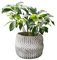 Vaso per fiori alla moda in cemento con motivo unico, contenitore per piante per la casa e fiori, decorazione versatile per spazi interni, decorazione da giardino