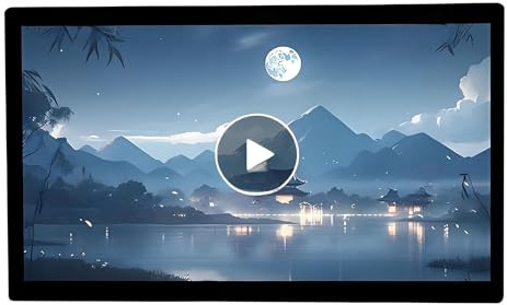 Display per Digital Signage, Monitor Industriale con Schermo Multi-Touch Capacitivo, Altoparlanti Integrati, Display e Player per Digital Signage per La pubblicità,65