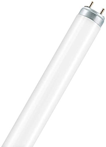 Osram L 36 W/965