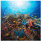 Bilderwelten Glasbild Wandbild Glas Kunstdruck Lagune Unterwasser 30 cm x 30 cm