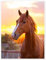 Pferd in der Sommersonne Poster 50 x 70 cm Wandbilder Wanddeko