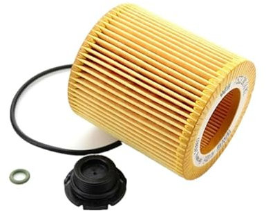 Filtro olio 11427953125 for BMW 1 (F20) 3 Touring (F31) 5 (F10) 5 (F11) X1 (E84) X5 X4 Z4 11427640862 11428683204(1 Pcs)