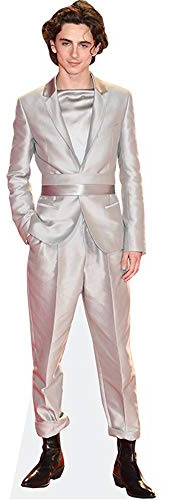 Timothee Chalamet (Silver Suit) Pappaufsteller lebensgross