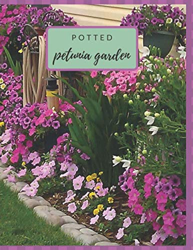 Potted Petunia Garden: Make your garden plans and plot drawings as well as log the care and requirements for the different container flowers planted.