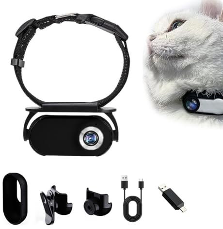Cat Tracker Collar For Small Cats, Hd 1080P Wireless Camera Collar With 32Gb Sd Card For Dogs Cats (Black)