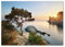 Tulup Impression sur Verre de 100x70 cm Image Tableau Photo décorative panoramique pour la Cuisine et Le Salon - Paysage - Arbre Au Bord De La Mer - Vert