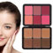 Carla Secret Concealer-Palette,2023 Neu 12 Farben Make-Up Palette,Cream Blush Palette,Concealer Foundation Palette,Langanhaltendes,Volldeckendes Make-Up füR Makellose Haut,for All Skin Types (#02)