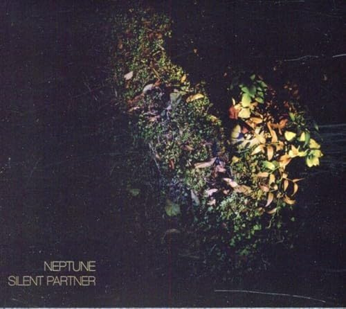 Northern Spy