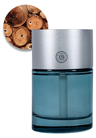 Automatischer Duftspender | Aroma Diffuser | AromaStreamer 360 von REIMA | Duft Borneo Teak Wood | geräuschlos und batteriebetrieben | Sandelholz, Teak & Zedernholz