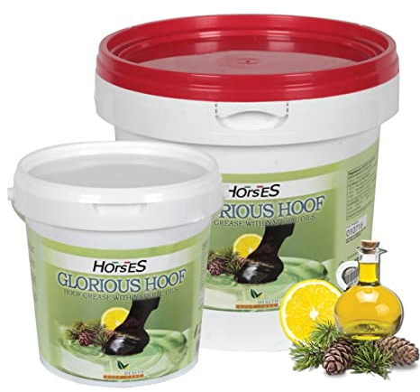 Horses Grasso Zoccoli Glorious Hoof 1000 ml, Semplice da Utilizzare, Non Dannoso per l’Uomo o per Il Cavallo, Efficacia Testata, Pronto all’Uso
