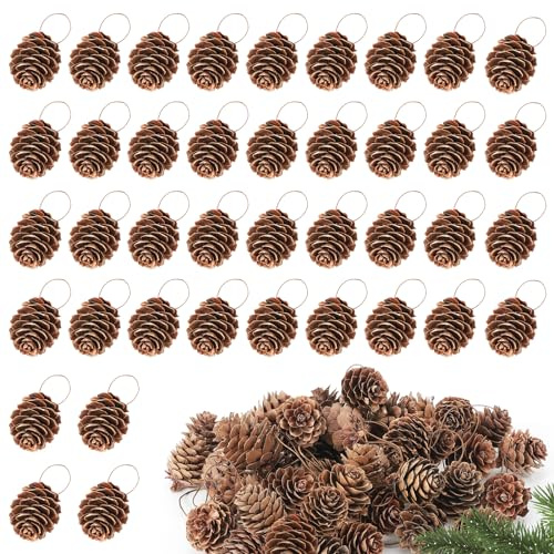 Apipi 40 Stück Weihnachts-Tannenzapfen – natürliche kleine Tannenzapfen zum Dekorieren, Hängende Ornamente mit Schnüren zum Basteln, DIY-Geschenkanhänger, Weihnachten, Hochzeit