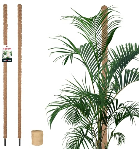 KOTARBAU® 2 x Tuteur Plante Interieur | Tuteur Coco | Tuteur Plante Grimpante, Tuteurs pour Plantes | Tuteur Monstera Deliciosa ⌀ 3,2 x 180 cm en Fibres de Coco 2 Pieces + Ficelle Offerte