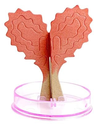 Magischer wachsender Baum, Papierkristallbäume, herzförmiger Papierbaum, herzförmiger Baum, blühend, magische Kristallbäume für Ornamente