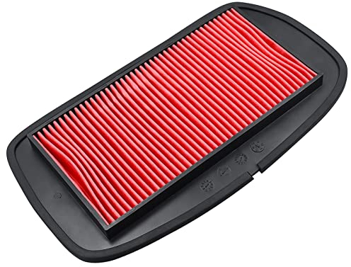 Cnornus Filtro Aria per Yamaha FZ6 2004-2010, Fazer 600 2004-2006, S2 2007-2009