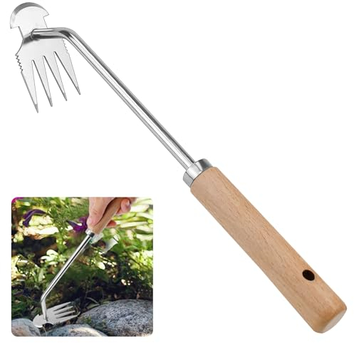 ADERTOS Gartenhacke Klein Hand Unkrautstecher Unkraut Entwurzelungswerkzeug Edelstahlkopf Wurzeljäter Unkraut Entferner Gerät Holzgriffe Manueller Unkrautjäter Pflanzhacke zum Jäten Kultivieren