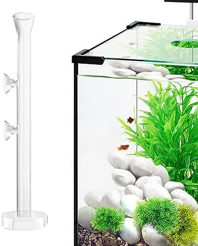 Mangeoire à Crevettes - Tube et Plat d'alimentation pour crevettes en Verre Clair - Tube d'alimentation pour crevettes d'aquarium, Bol de Nourriture pour crevettes