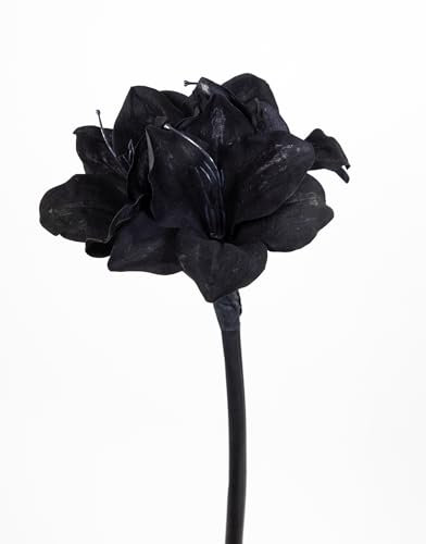 Seidenblumen Roß Amaryllis 50cm schwarz GA Kunstblumen künstlicher Ritterstern Blumen Pflanzen
