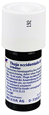 Thuja Occidentalis Urtinktur