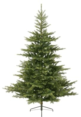 PRGN Albero di Natale GRANDIS Fir Verde 360CM 6305 RAMETTI Molto FOLTO