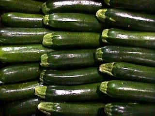 Squash Summer Zucchini Dark Green 250 Seeds
