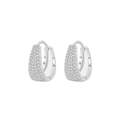 Huge Tomato Creolen Ohrringe für Frauen vergoldete klobige dicke Silber Ohrringe minimalistischer Schmuck Geschenk