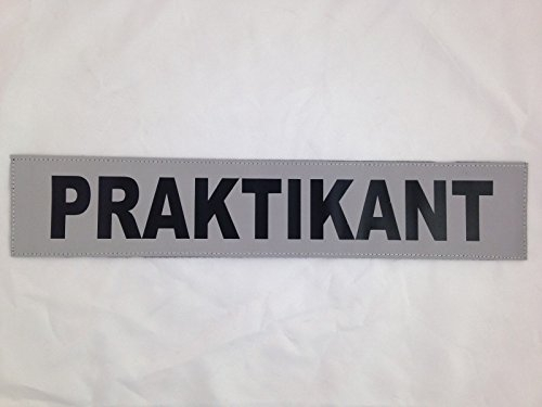 PRAKTIKANT 3M Rückenschild 38x8cm matt silber