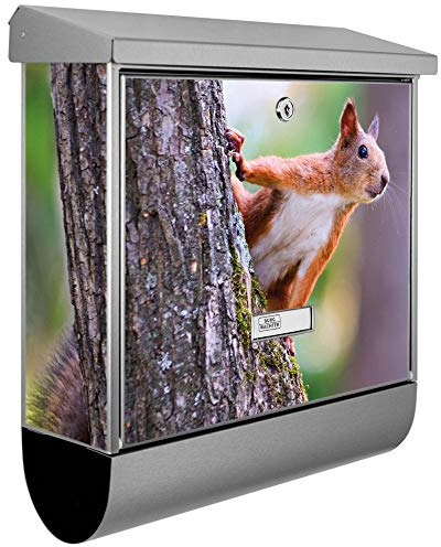 banjado® Burgwächter Briefkasten Edelstahl 38x39x12cm mit Motiv Eichhörnchen/Briefkasten Edelstahl ohne Zeitungsfach/Briefkasten grau/Postkasten inkl. Montagematerial & 2 Schlüsseln