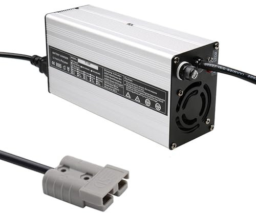 MFYDPP Chargeur De Batterie De Voiture 24v (50a / 40a / 30a / 25a / 18a / 15a / 12a), Chargeurs De Batteries à Marilles, Chargeur De Batterie De Chariot(Size:24V/25a,Color:120A)