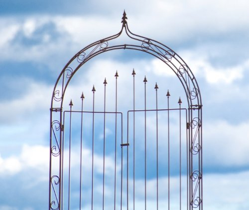 KUHEIGA Rosenbogen 12mm Eisen! B: 140cm Rost mit Türen/Tor