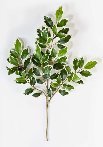 artplants.de Künstlicher Ficuszweig AJITH, 60 grün-weiß Blätter, 45cm - Kunst Ficus - Deko Zweig