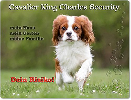 Merchandise for Fans Warnschild - Schild aus Aluminium Größe: 20x30cm - Motiv: Cavalier King Charles Spaniel Security (01)