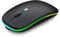 WREANU Mouse wireless Bluetooth ricaricabile per computer portatile, con luci LED, silenzioso, sottile (BT5.2 e USB portatile 2,4 G), doppia modalità per computer portatile/iPad/tablet/Apple/computer