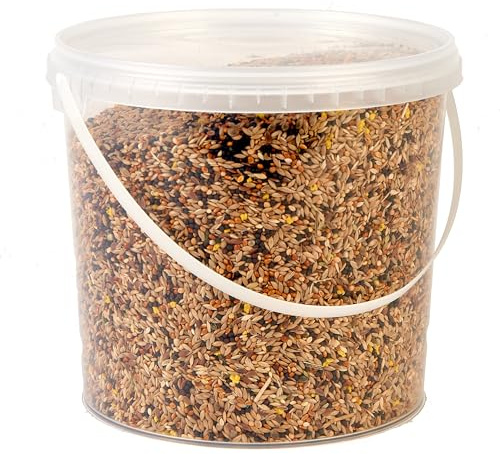 Premium Canary Seed Mix Food, 2.5L