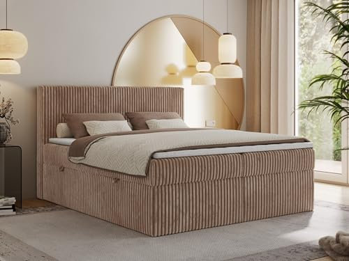 MKS MEBLE Boxspringbett 200x200 Braun Cord, Boxspringbett mit Matratze H3, Bett 200x200 mit Bettkasten and Kopfteil, Doppelbett mit Stauraum, Polsterbett 200x200 - Tiliano