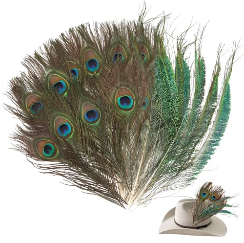 Generisch 20 Stück Natürliche Pfauenfeder 25-30CM Schöne Augen Federn für Hüte DIY Craft Handwerk Kopf Dekorationen Pfau Deko (10 x Augenfeder+10 x Randfedern)