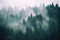 Muralo Fototapete Wald im Nebel 180 x 270 cm Vlies Tapete Wandtapeten Bäume Wohnzimmer Schlafzimmer Moderne Wandbilder XXL Landschaft Panorama Wand Dekoration