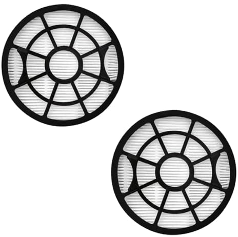 FFyan Filtre HEPA pour Rowenta Swift Power Cyclonic Aspirateur RO2910 RO2913 RO2915 RO2932 RO2933 RO2957 RO2981