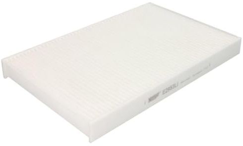 Hengst E2953LI Filter, Innenraumluft | E2953LI Kompatibel mit Daily Tourys