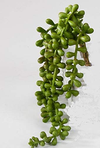 Deko Zweig Agave hängend, 30 cm, formano Kunstblume