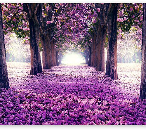 Wallpaper - Wall Mural Abstraction Nature 300x210 cm / 119x83 - Non-Woven Premium Art Print Fleece Wall Mural Decoration Poster Picture Design Modern - Botanical Way Flowers Purple c-A-0031-a-c