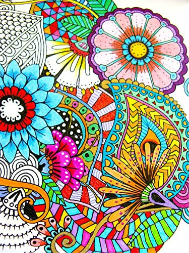 OWN4B Kreuzstich Stickpackungen Vorgedruckt, Buntes Mandala Bilder 11CT 14,2x18,1 Zoll DIY Stickpackung Set