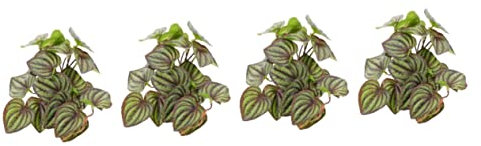 Mipcase 4stücke Künstliche Terrarium Pflanze Für Reptilien Dekorative Lebensechte Pflanzen Für Terrarien Aquarien Und Haustierhabitate Einfache Installation Und Sichere Materialien