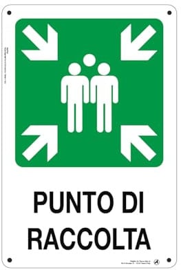 Cartello Segnaletico Punto di Raccolta Alluminio Premium 20x30 cm – Made in Italy, Resistente Esterno, Stampa HD, Installazione Facile, Conforme Normative