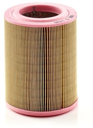 MANN-FILTER, C 1430 Luftfilter | Für PKW, Saubere Luftzufuhr, Langlebiges Filtermedium, Passgenaues Design, Echte OE-Technologie