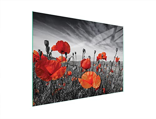DarHaus Couvercle pour plaque de cuisson universelle en céramique, à induction, Planche à découper en verre 40 x 30 cm, protection anti-éclaboussures, plaque en verre, cuisine, Coquelicots Rouge