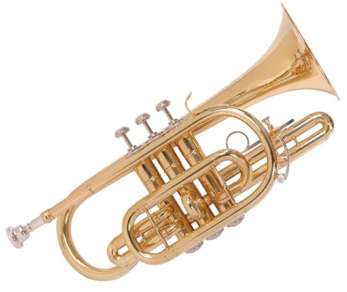 Odyssey OCR200 Debut 'Bb' Cornet Outfit with Deluxe Case & Accessory Kit - Instrument with Gold Lacquered Brass Body and Nickel Silver Valves - Ideal for Beginners and Professionals