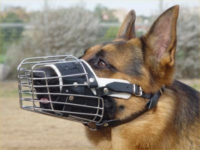 Champion New Strong Metal Wire Basket Dog Muzzle for German Shepherd etc, Fully Padded, T3 (K9)