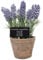 Esschert's Design Grand Pot Artificiel en Terre Cuite vieillie Lavande AH010