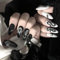 Sethexy Mat Stylet Longue Faux ongles Noir blanc Serpent Style de mode Faux ongles 24 pièces Acrylique Art Couverture complète Appuyez sur les ongles pour les femmes et les filles